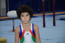 Стартовали чемпионаты Азербайджана по спортивной гимнастике и акробатике (ФОТО)