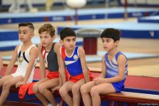 Стартовали чемпионаты Азербайджана по спортивной гимнастике и акробатике (ФОТО)