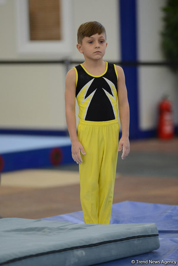 Стартовали чемпионаты Азербайджана по спортивной гимнастике и акробатике (ФОТО)