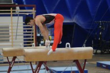Стартовал второй день чемпионатов Азербайджана по спортивной гимнастике и акробатике (ФОТО)