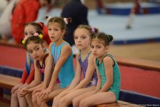 Стартовал второй день чемпионатов Азербайджана по спортивной гимнастике и акробатике (ФОТО)