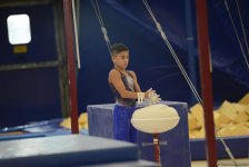 Стартовал второй день чемпионатов Азербайджана по спортивной гимнастике и акробатике (ФОТО)