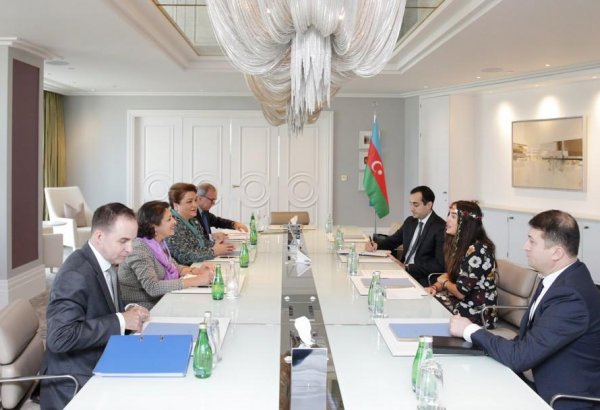 Лейла Алиева встретилась с региональным директором UNICEF (ФОТО)