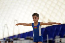 Стартовали Чемпионаты Азербайджана и Первенства Баку по 4 гимнастическим дисциплинам (ФОТО)