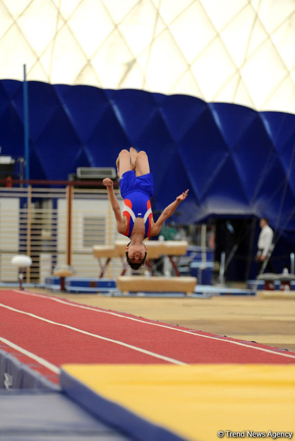 Стартовали Чемпионаты Азербайджана и Первенства Баку по 4 гимнастическим дисциплинам (ФОТО)