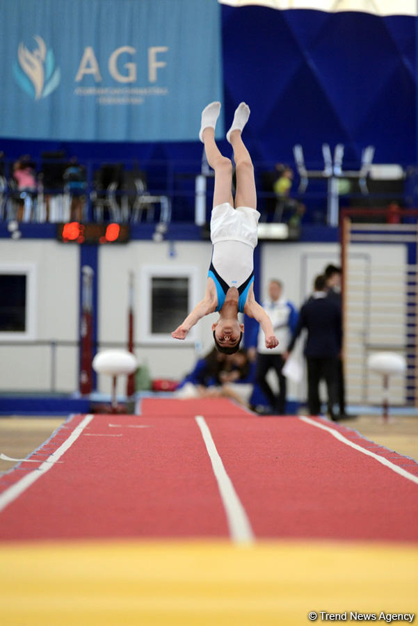 Стартовали Чемпионаты Азербайджана и Первенства Баку по 4 гимнастическим дисциплинам (ФОТО)