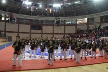В Баку прошел Кубок мира по боевому искусству алпагут (ФОТО)