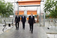 Президент Ильхам Алиев ознакомился с работой, проведенной в "BAKU AGROPARK" (ФОТО)