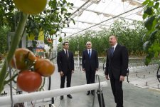 Президент Ильхам Алиев ознакомился с работой, проведенной в "BAKU AGROPARK" (ФОТО)