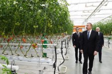 Президент Ильхам Алиев ознакомился с работой, проведенной в "BAKU AGROPARK" (ФОТО)