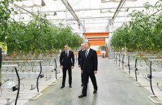 Президент Ильхам Алиев ознакомился с работой, проведенной в "BAKU AGROPARK" (ФОТО)