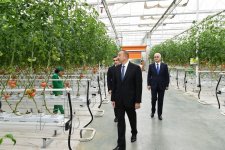 Президент Ильхам Алиев ознакомился с работой, проведенной в "BAKU AGROPARK" (ФОТО)