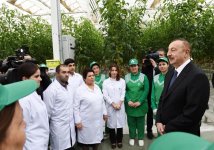 Президент Ильхам Алиев ознакомился с работой, проведенной в "BAKU AGROPARK" (ФОТО)