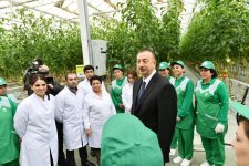 Президент Ильхам Алиев ознакомился с работой, проведенной в "BAKU AGROPARK" (ФОТО)
