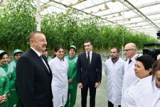 Президент Ильхам Алиев ознакомился с работой, проведенной в "BAKU AGROPARK" (ФОТО)
