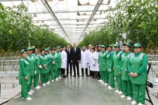 Президент Ильхам Алиев ознакомился с работой, проведенной в "BAKU AGROPARK" (ФОТО)