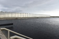 Президент Ильхам Алиев ознакомился с работой, проведенной в "BAKU AGROPARK" (ФОТО)