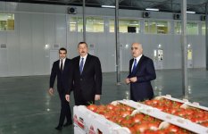 Президент Ильхам Алиев ознакомился с работой, проведенной в "BAKU AGROPARK" (ФОТО)