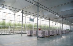 Президент Ильхам Алиев ознакомился с работой, проведенной в "BAKU AGROPARK" (ФОТО)