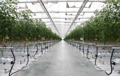 Президент Ильхам Алиев ознакомился с работой, проведенной в "BAKU AGROPARK" (ФОТО)