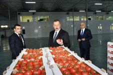 Президент Ильхам Алиев ознакомился с работой, проведенной в "BAKU AGROPARK" (ФОТО)