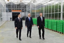 Президент Ильхам Алиев ознакомился с работой, проведенной в "BAKU AGROPARK" (ФОТО)