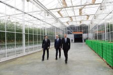 Президент Ильхам Алиев ознакомился с работой, проведенной в "BAKU AGROPARK" (ФОТО)