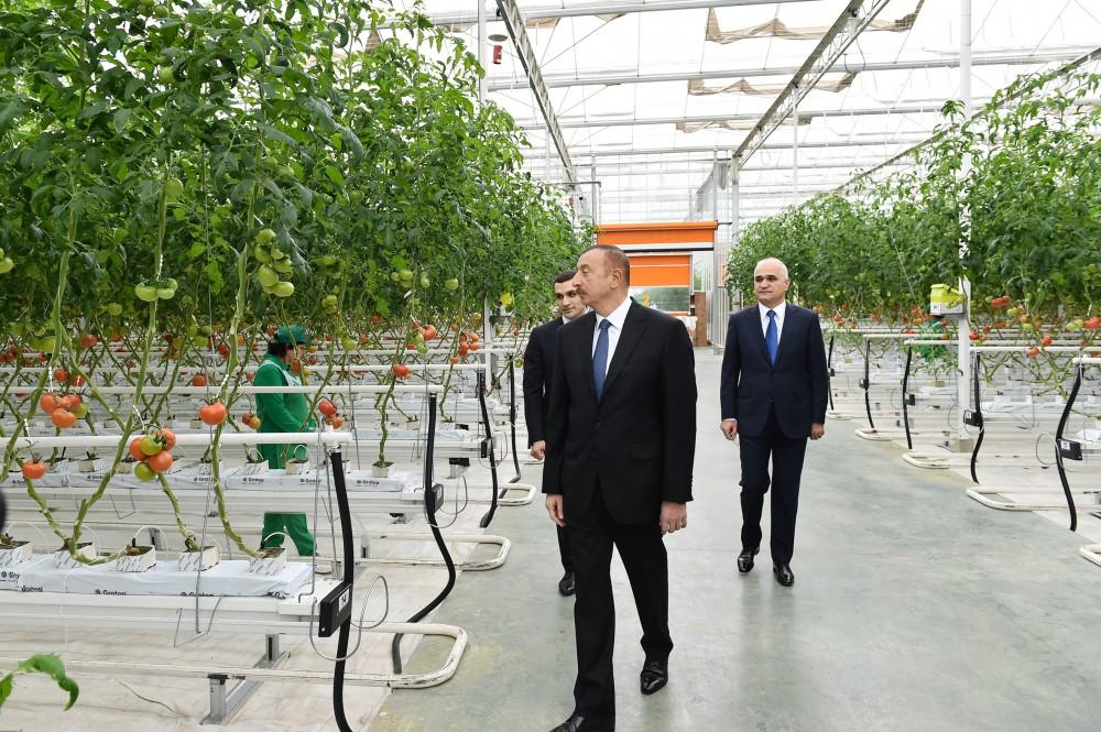 Президент Ильхам Алиев ознакомился с работой, проведенной в "BAKU AGROPARK" (ФОТО)