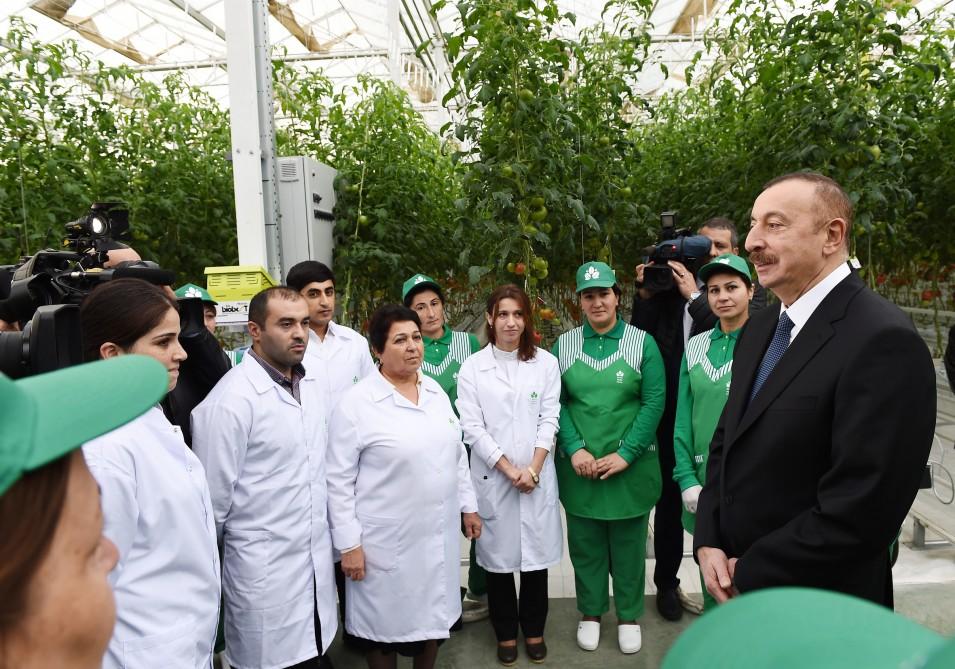 Президент Ильхам Алиев ознакомился с работой, проведенной в "BAKU AGROPARK" (ФОТО)