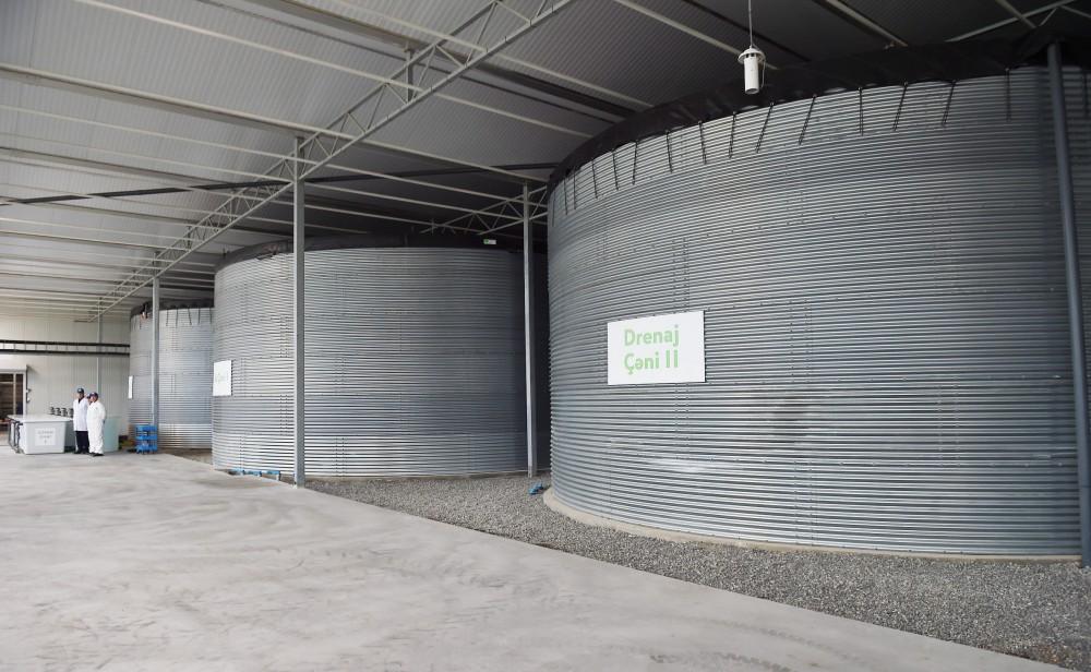 Президент Ильхам Алиев ознакомился с работой, проведенной в "BAKU AGROPARK" (ФОТО)