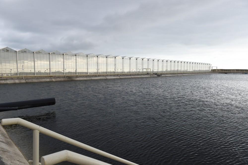 Президент Ильхам Алиев ознакомился с работой, проведенной в "BAKU AGROPARK" (ФОТО)