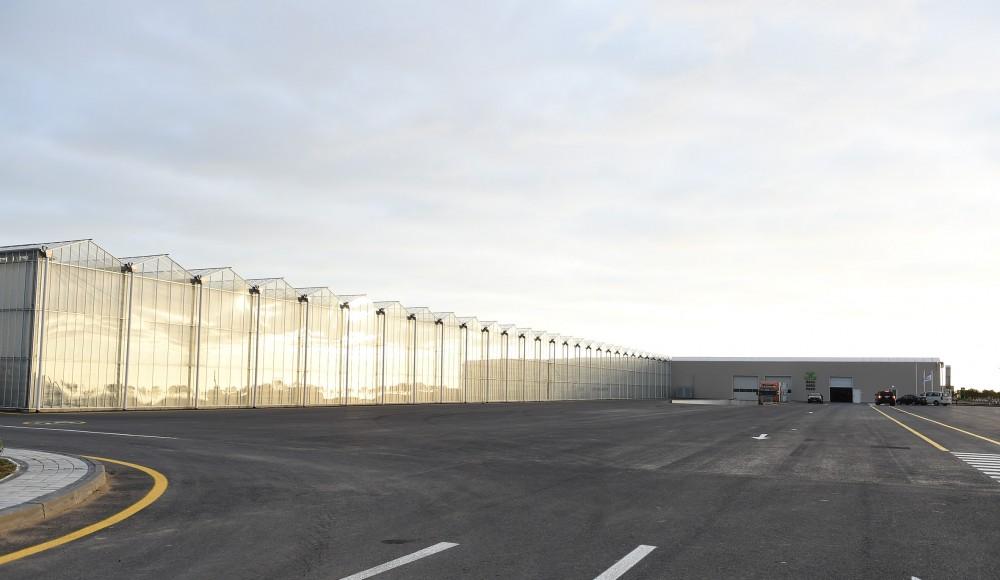 Президент Ильхам Алиев ознакомился с работой, проведенной в "BAKU AGROPARK" (ФОТО)