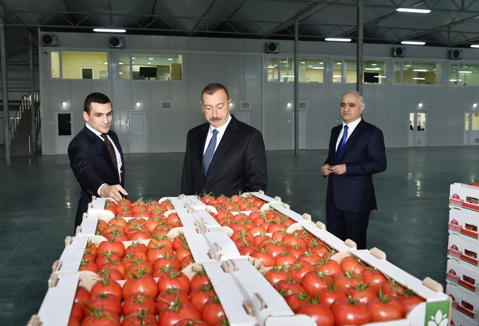 Президент Ильхам Алиев ознакомился с работой, проведенной в "BAKU AGROPARK" (ФОТО)