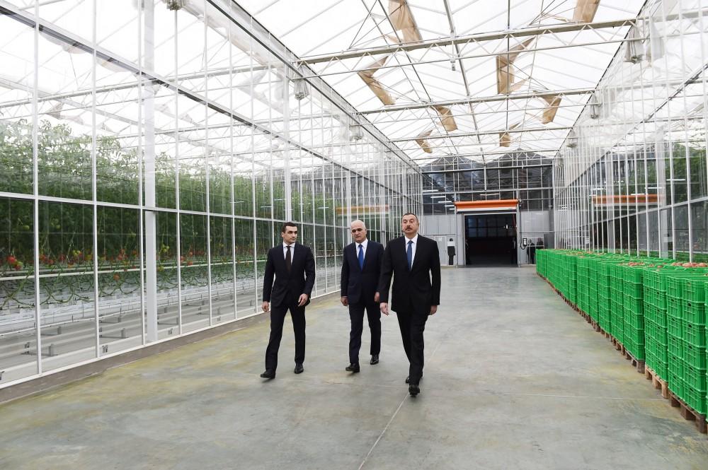 Президент Ильхам Алиев ознакомился с работой, проведенной в "BAKU AGROPARK" (ФОТО)