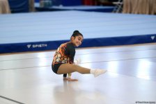 Завершились первенства Азербайджана и чемпионаты Баку по трем гимнастическим дисциплинам (ФОТО)