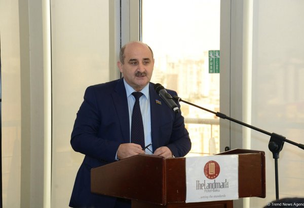 Лейла Юнус всегда ставила свои интересы превыше всего – депутат