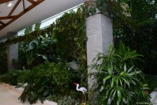 Центр культуры и эко-парк в поселке Зиря - путешествие в райский уголок (ФОТО)