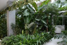 Центр культуры и эко-парк в поселке Зиря - путешествие в райский уголок (ФОТО)