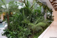 Центр культуры и эко-парк в поселке Зиря - путешествие в райский уголок (ФОТО)