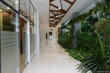 Центр культуры и эко-парк в поселке Зиря - путешествие в райский уголок (ФОТО)