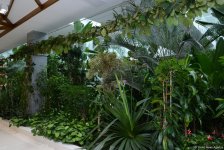 Центр культуры и эко-парк в поселке Зиря - путешествие в райский уголок (ФОТО)