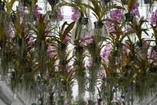 Центр культуры и эко-парк в поселке Зиря - путешествие в райский уголок (ФОТО)