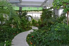 Центр культуры и эко-парк в поселке Зиря - путешествие в райский уголок (ФОТО)