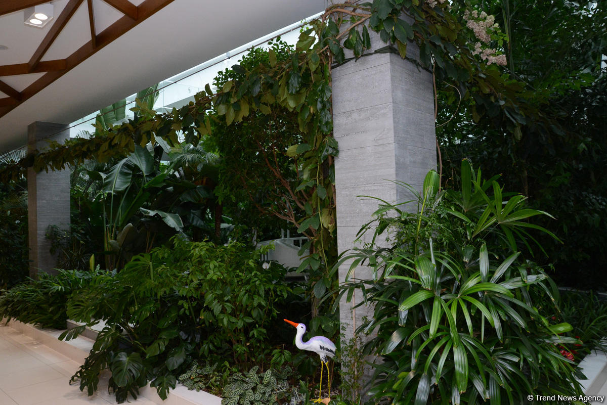 Центр культуры и эко-парк в поселке Зиря - путешествие в райский уголок (ФОТО)