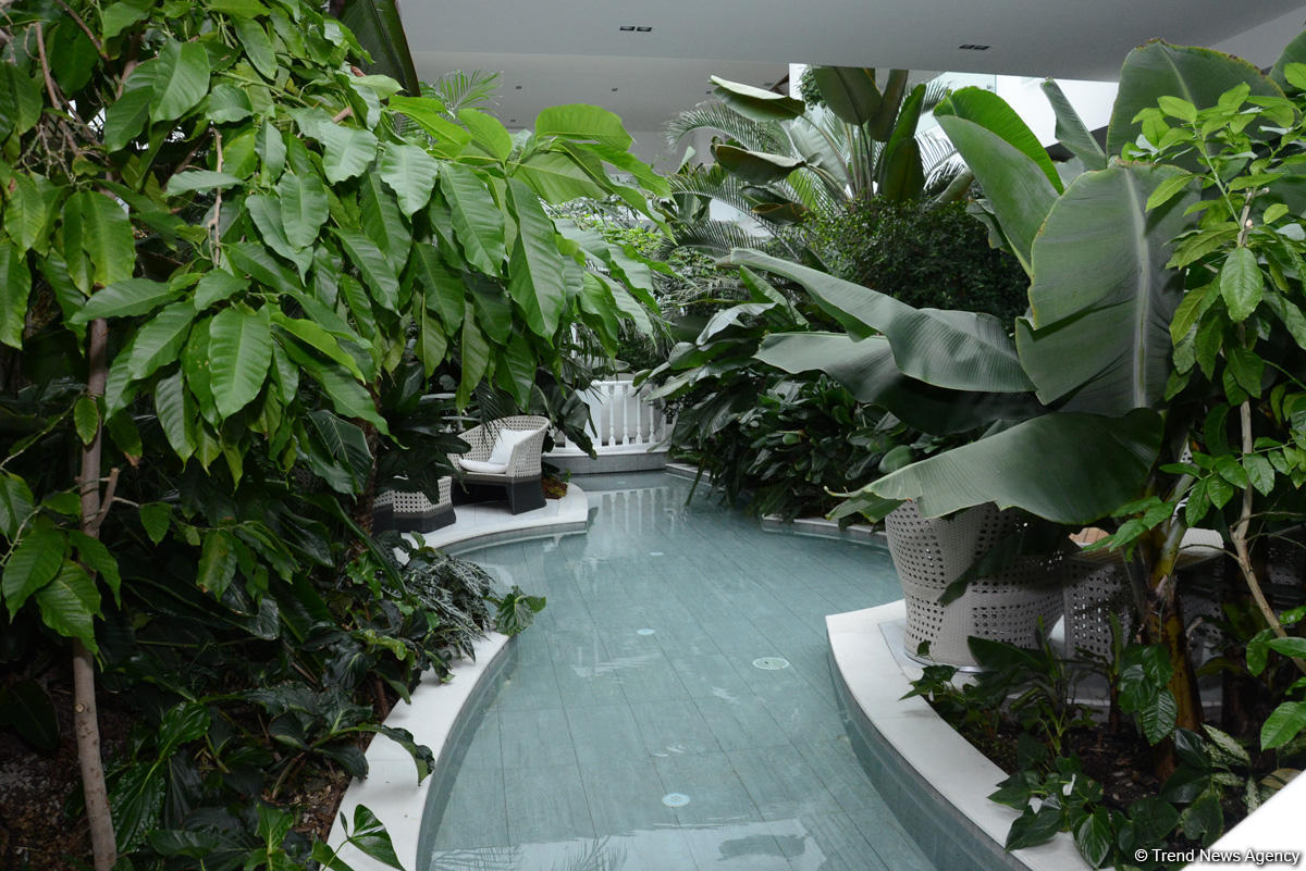 Центр культуры и эко-парк в поселке Зиря - путешествие в райский уголок (ФОТО)