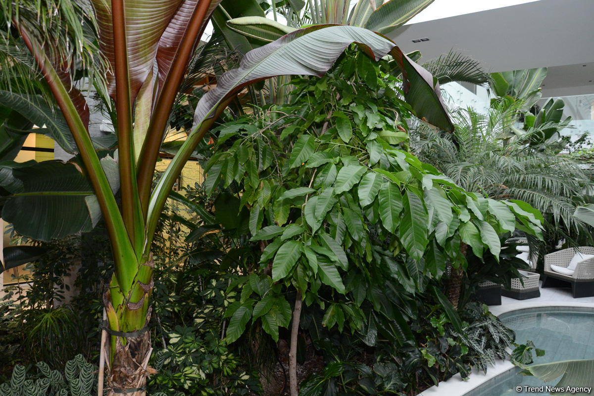 Центр культуры и эко-парк в поселке Зиря - путешествие в райский уголок (ФОТО)