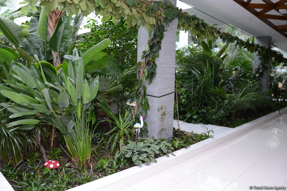 Центр культуры и эко-парк в поселке Зиря - путешествие в райский уголок (ФОТО)