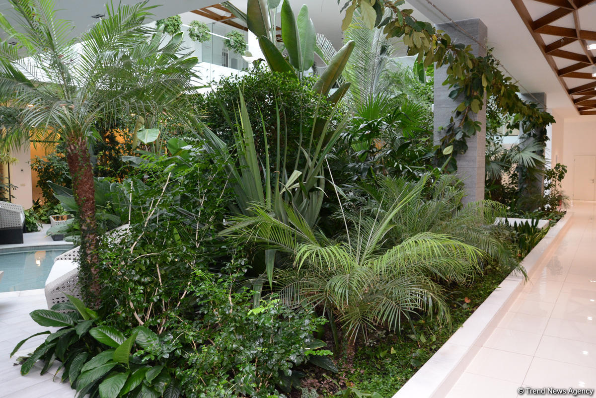 Центр культуры и эко-парк в поселке Зиря - путешествие в райский уголок (ФОТО)