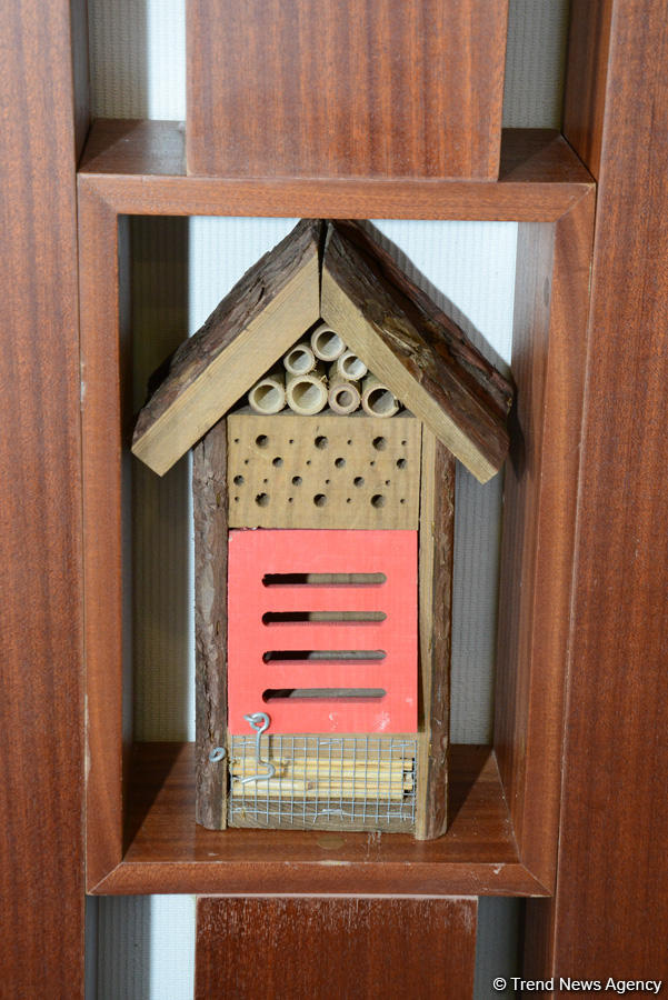 Центр культуры и эко-парк в поселке Зиря - путешествие в райский уголок (ФОТО)