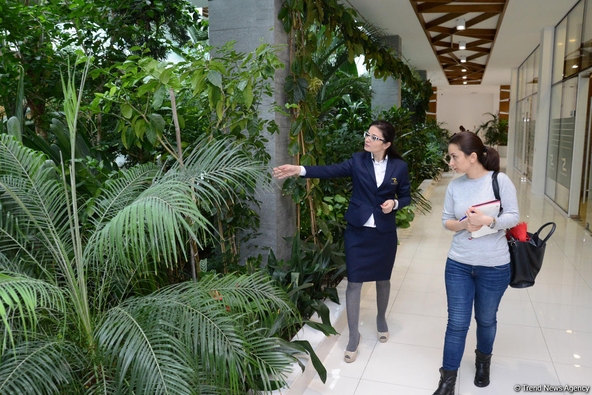 Центр культуры и эко-парк в поселке Зиря - путешествие в райский уголок (ФОТО)